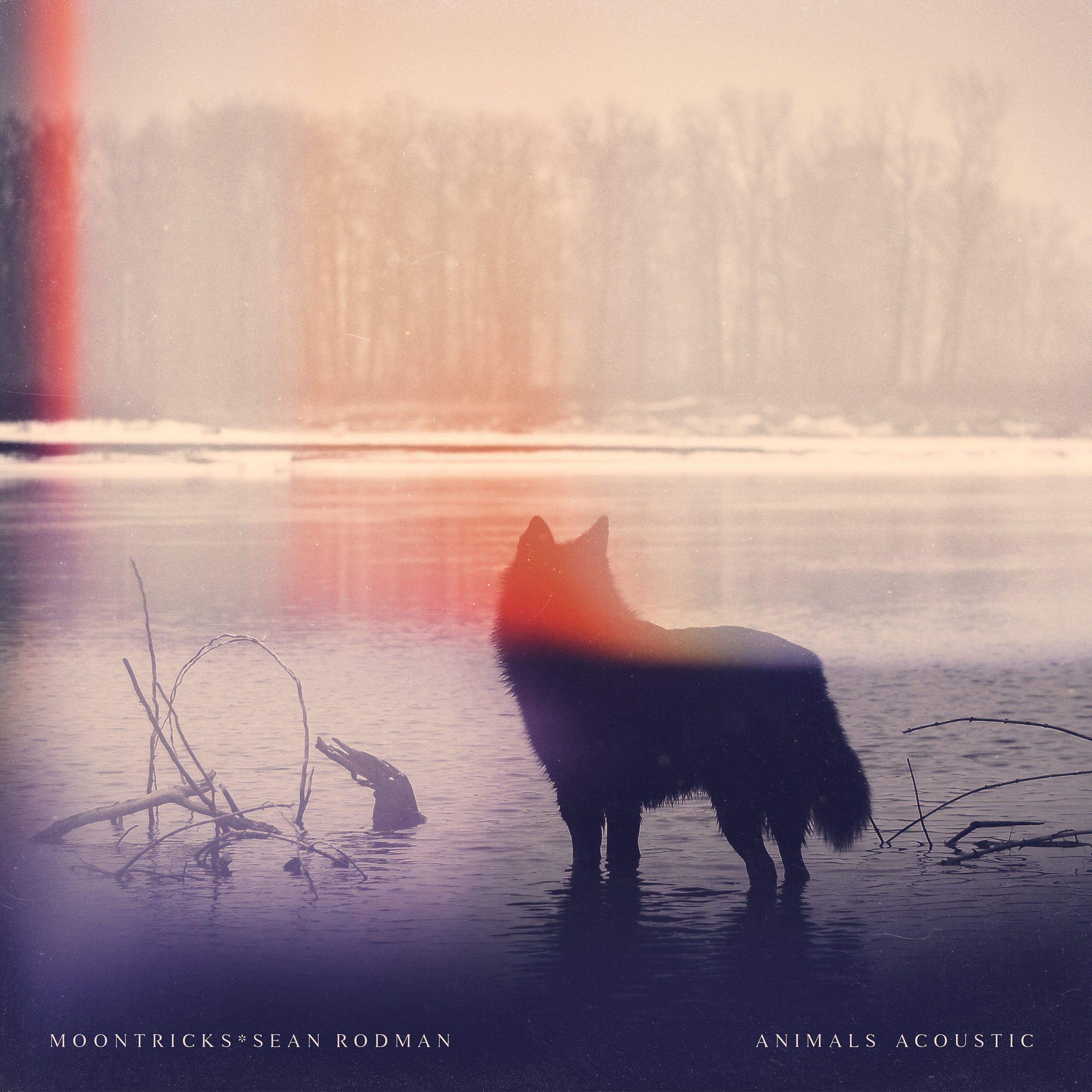 Moontricks - Animals (Acoustic) – Westwood Recordings Inc