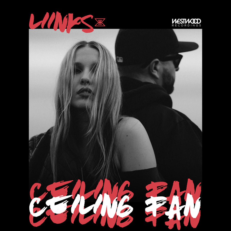 LIINKS - Ceiling Fan
