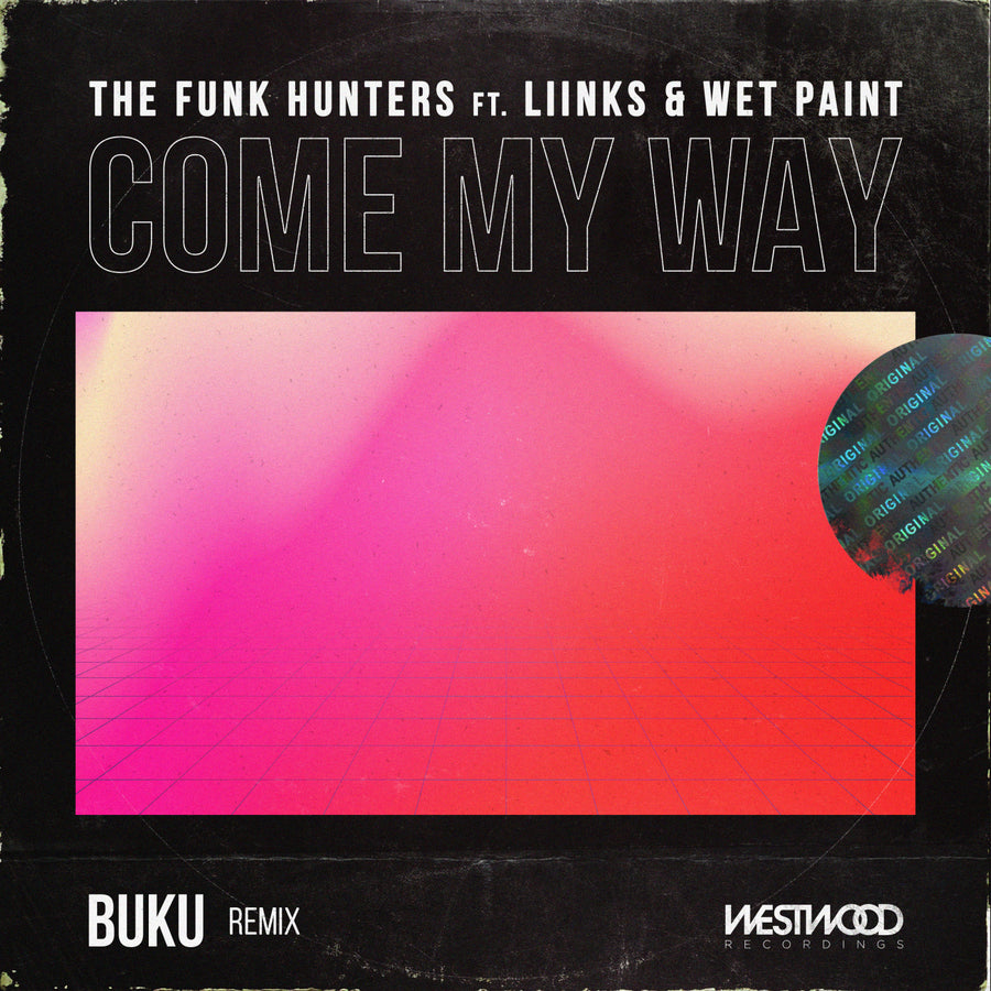 The Funk Hunters - Come My Way feat. LIINKS & Wet Paint (Buku Remix)